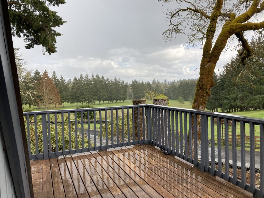 Suttle Rd Full Home Remodel - Exterior - Porch View